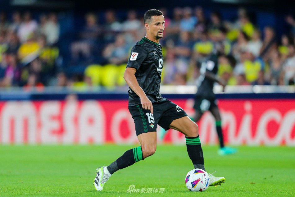 从而打乱对 从而打乱对